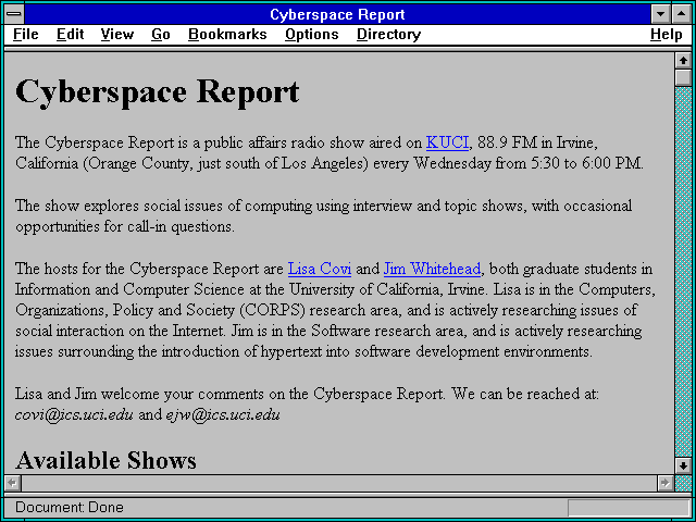 Screenshot of Cyberspace Report