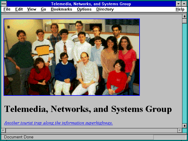 Screenshot of Telemedia Networks and Systems Group