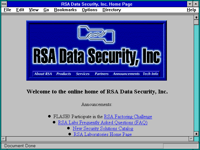 Screenshot of RSA Data Security Inc. Home Page