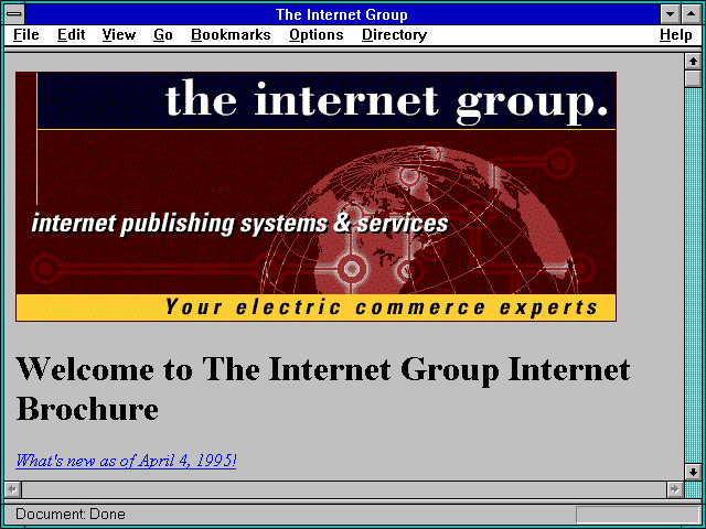 Screenshot of The Internet Group General Information