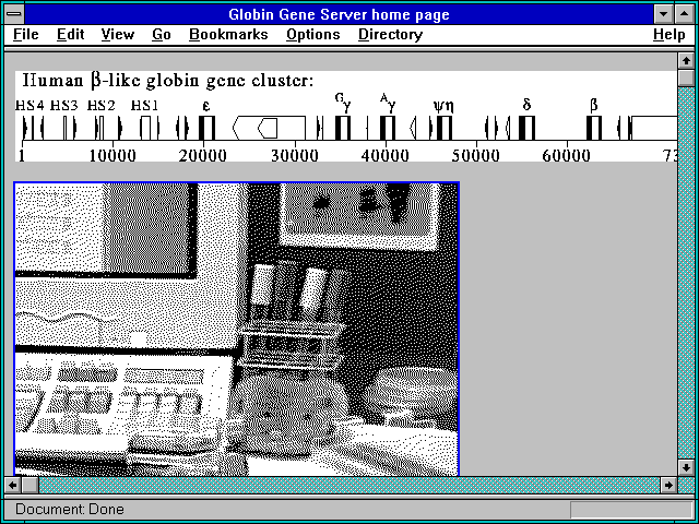 Screenshot of Globin Gene Server home page