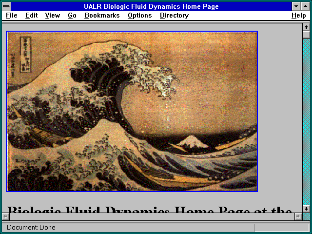 Screenshot of UALR Biologic Fluid Dynamics Home Page