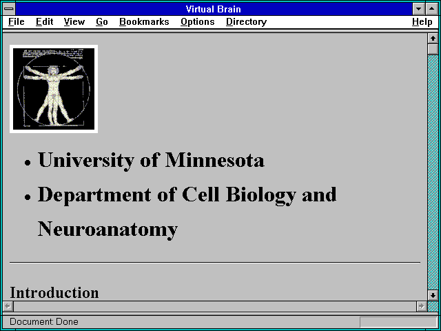 Screenshot of Virtual Brain