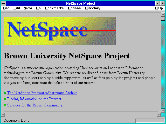 Screenshot of NetSpace Project