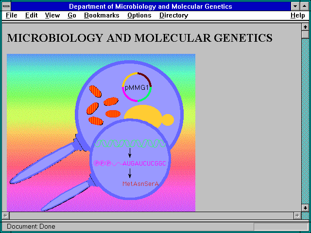 Screenshot of Department of Microbiology and Molecular Genetics