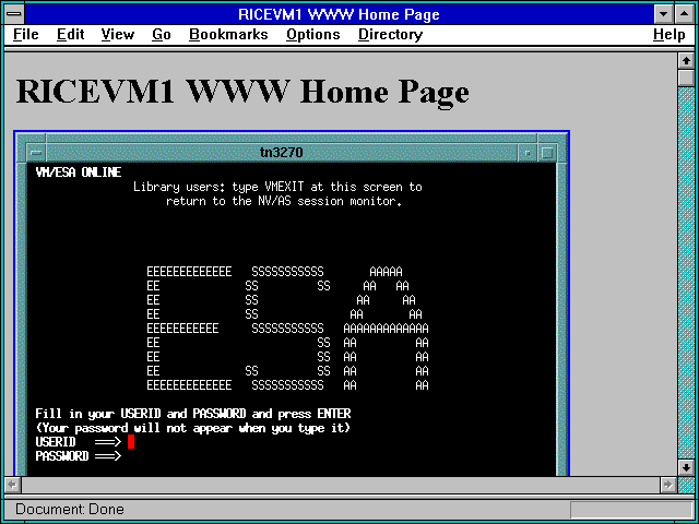 Screenshot of RICEVM1 WWW Home Page