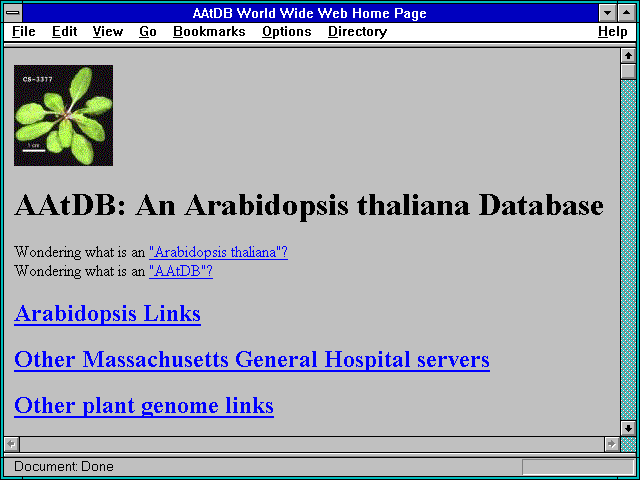 Screenshot of Arabidopsis Research Companion