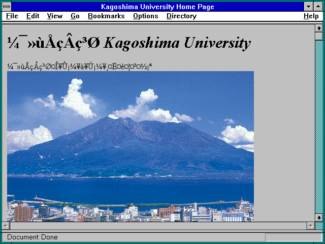 Screenshot of Kagoshima University Home Page