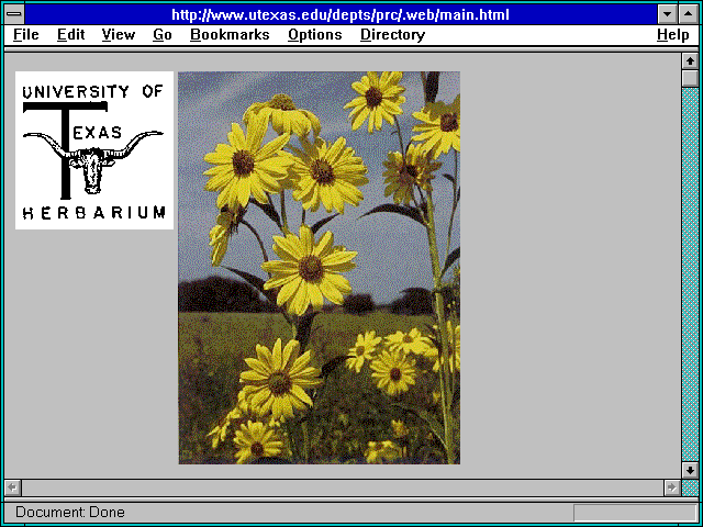 Screenshot of http://www.utexas.edu/depts/prc/.web/main.html