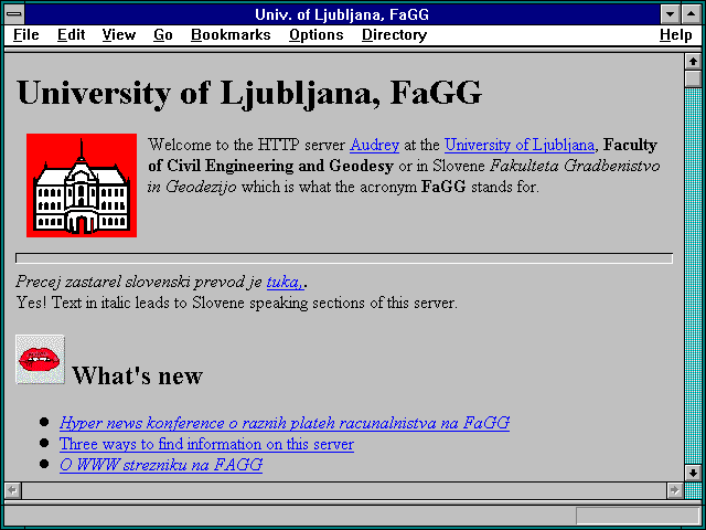 Screenshot of www.fagg.uni-lj.si