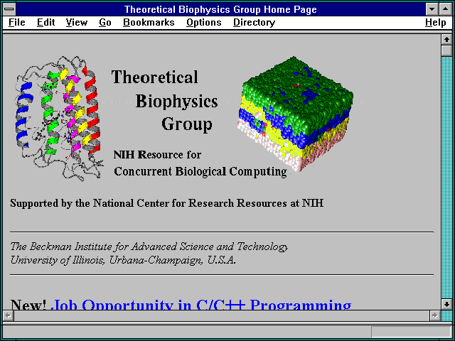 Screenshot of Theoretical Biophysics Group Home Page