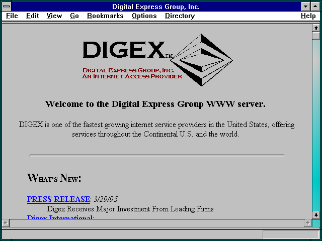 Screenshot of Digital Express Group, Inc.