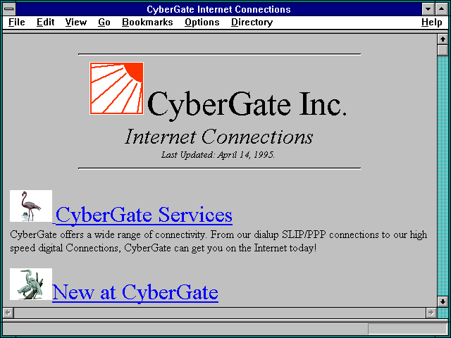 Screenshot of CyberGate Internet Connections