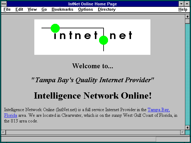 Screenshot of Tampa Bay - Intelligence Network Online, Inc.