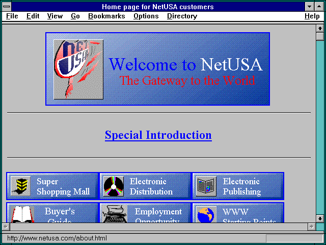 Screenshot of Home page for NetUSA customers