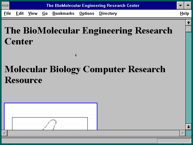Screenshot of The BioMolecular Engineering Research Center