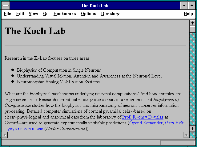 Screenshot of The Koch Lab