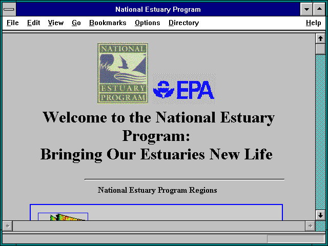 Screenshot of Bringing Our Estuaries New Life
