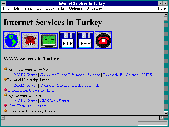 Screenshot of Internet Services in Turkey